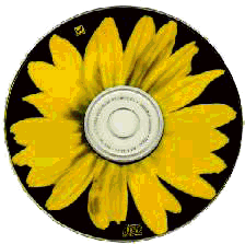 the daisy disc